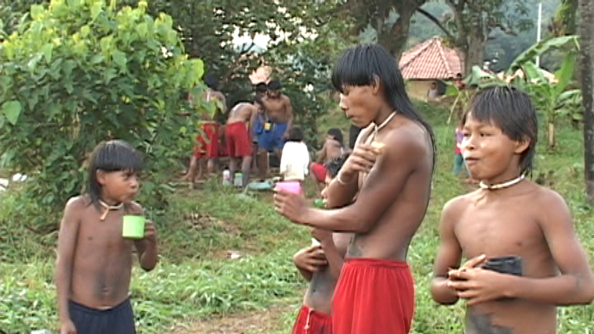 Imagem 7