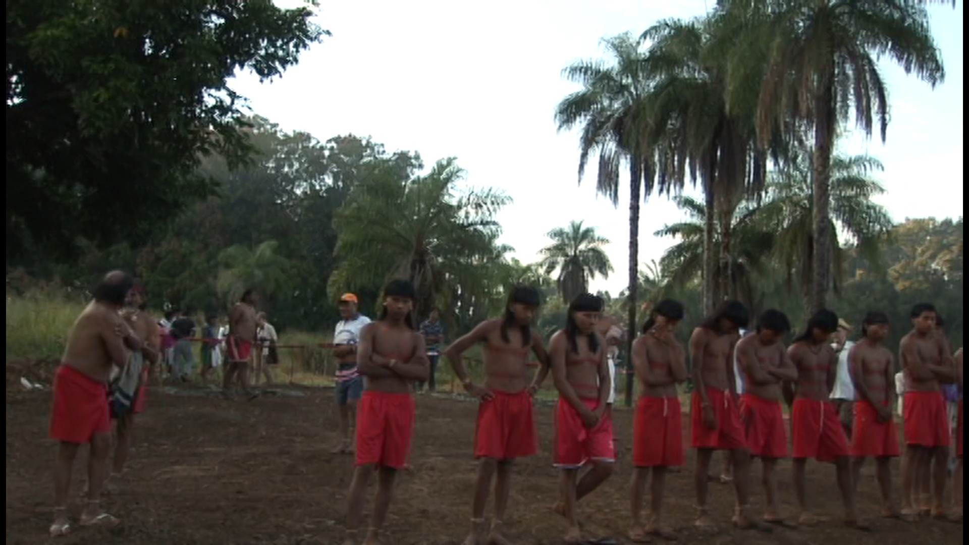 Imagem 7