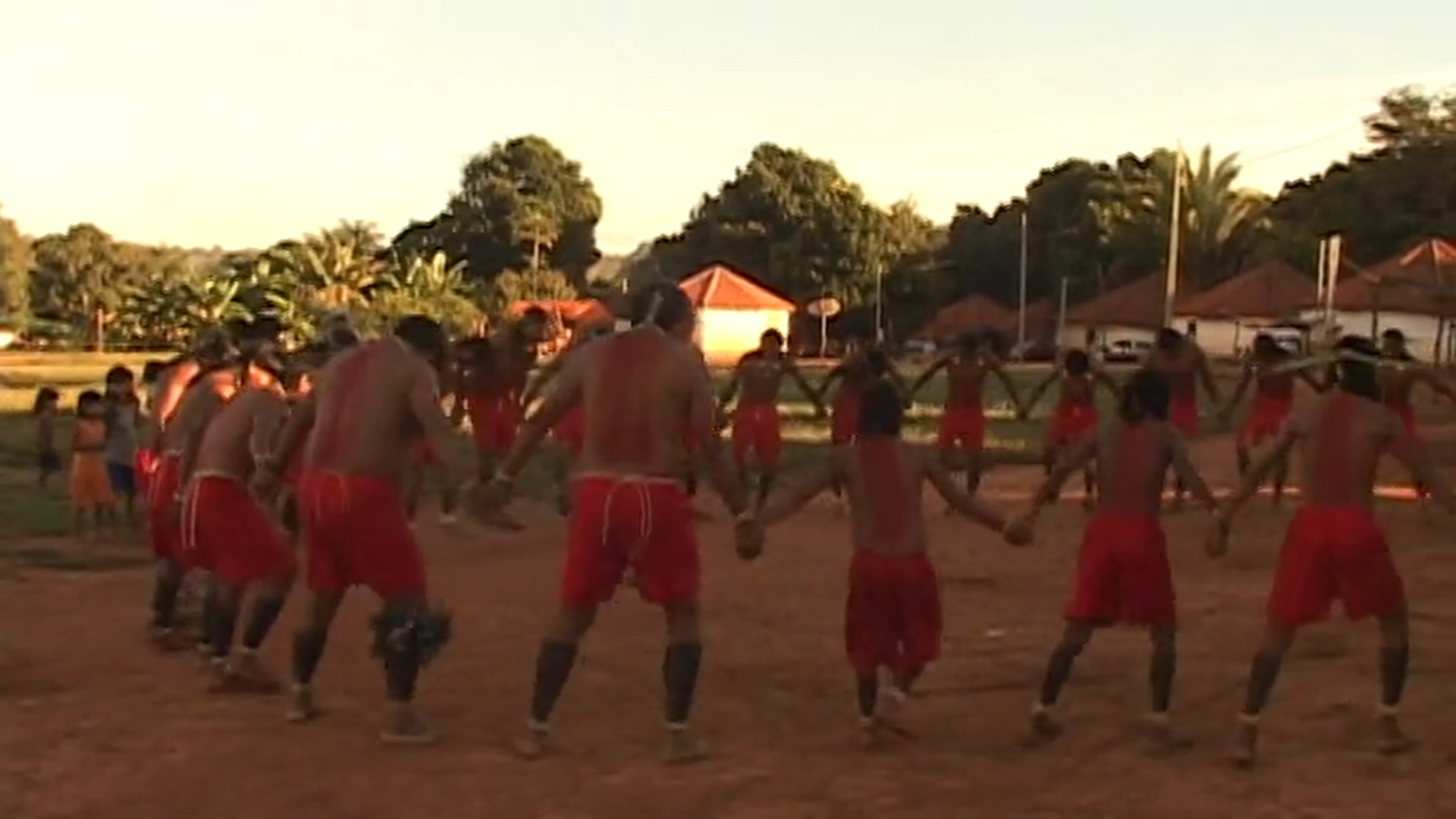 Imagem 7