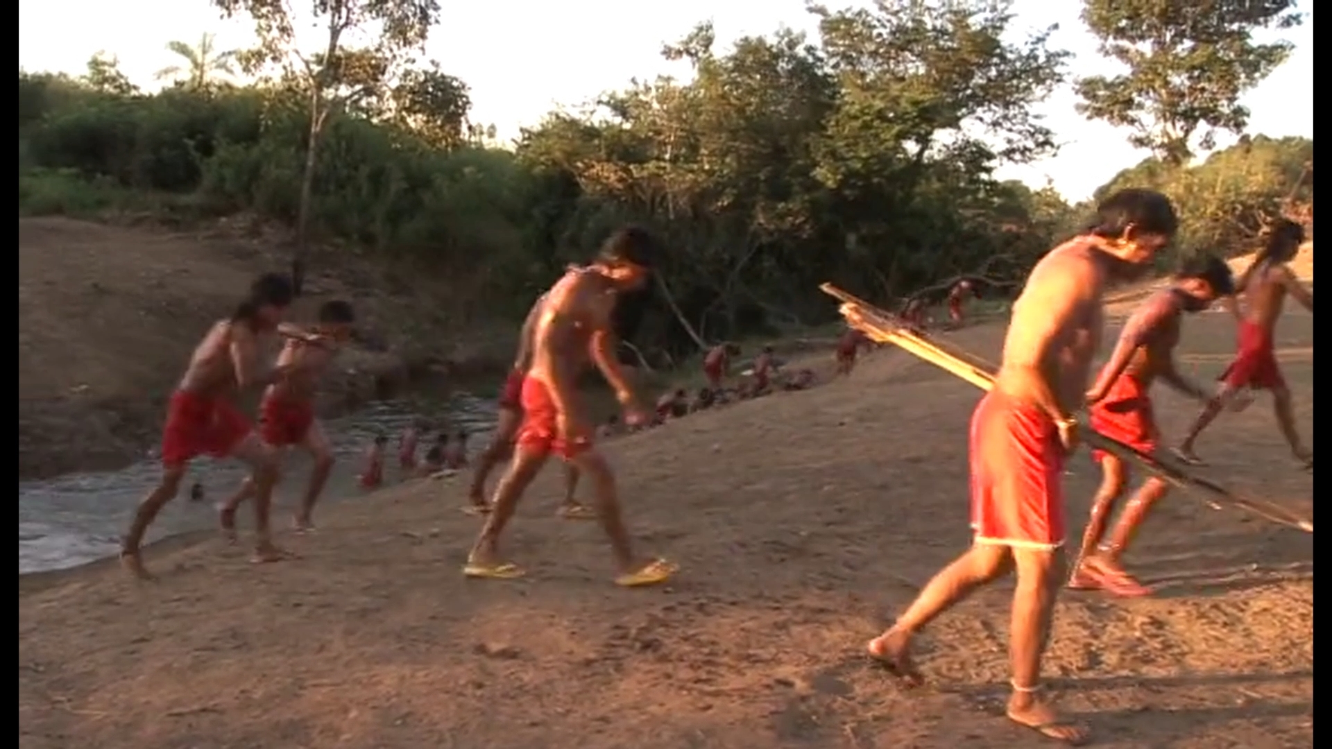 Imagem 7
