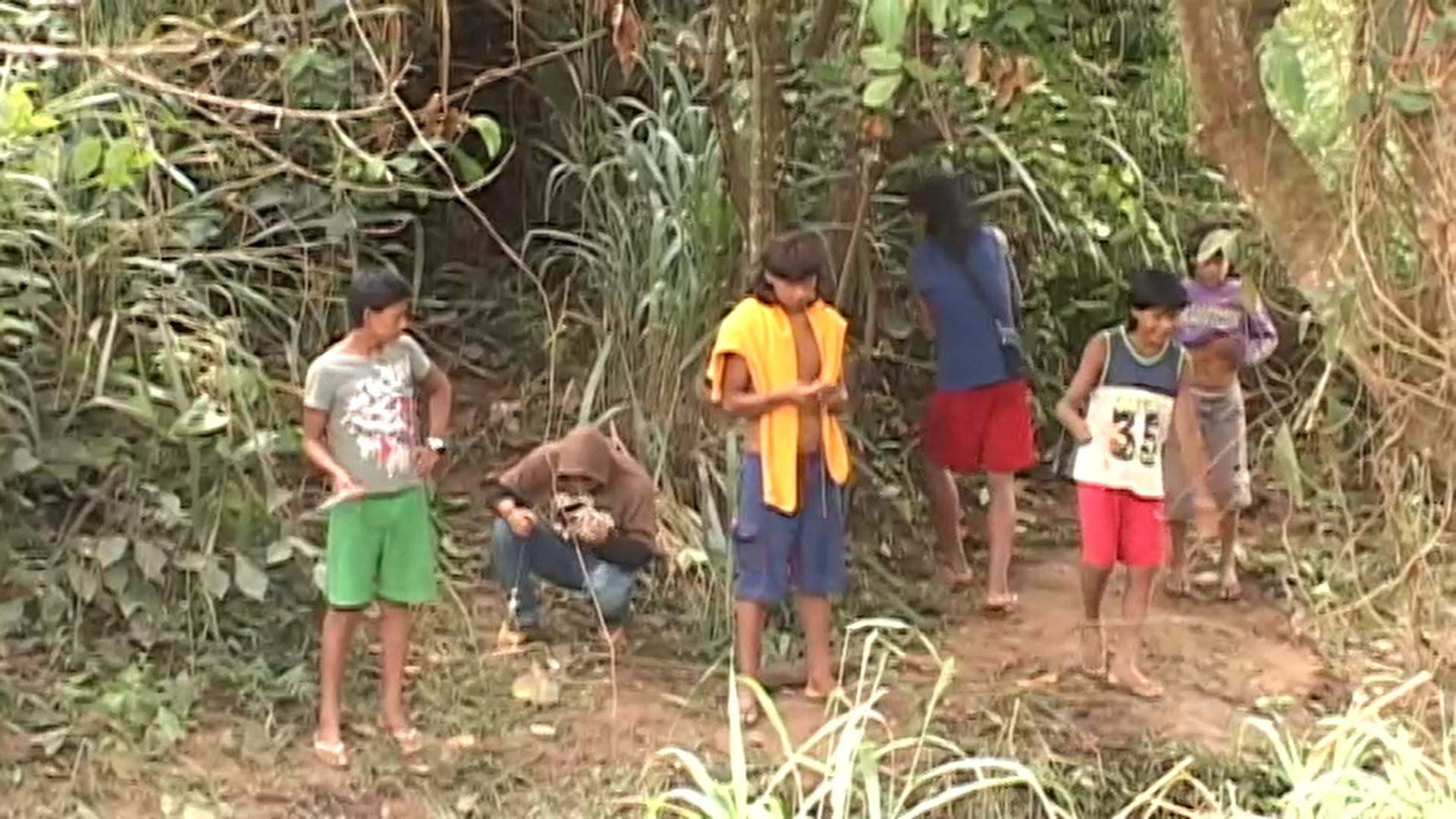 Imagem 7