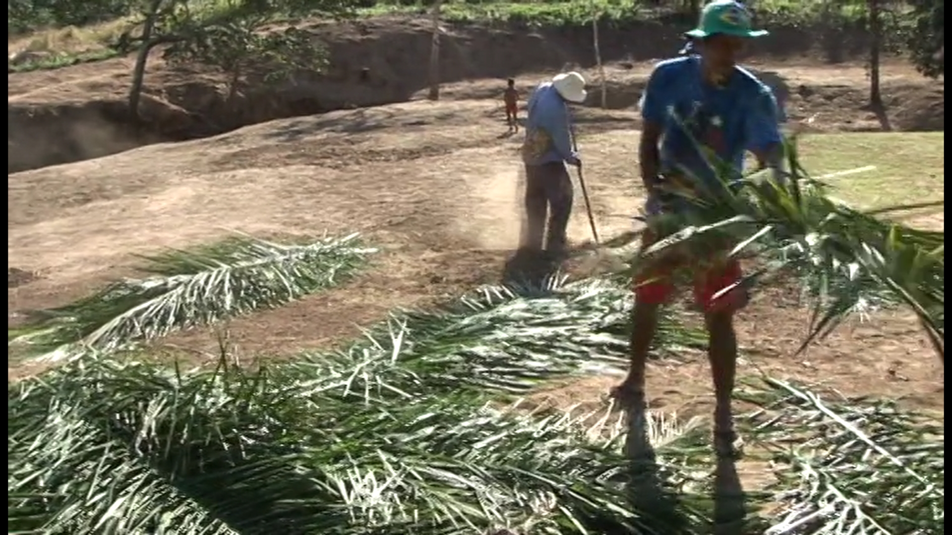 Imagem 6