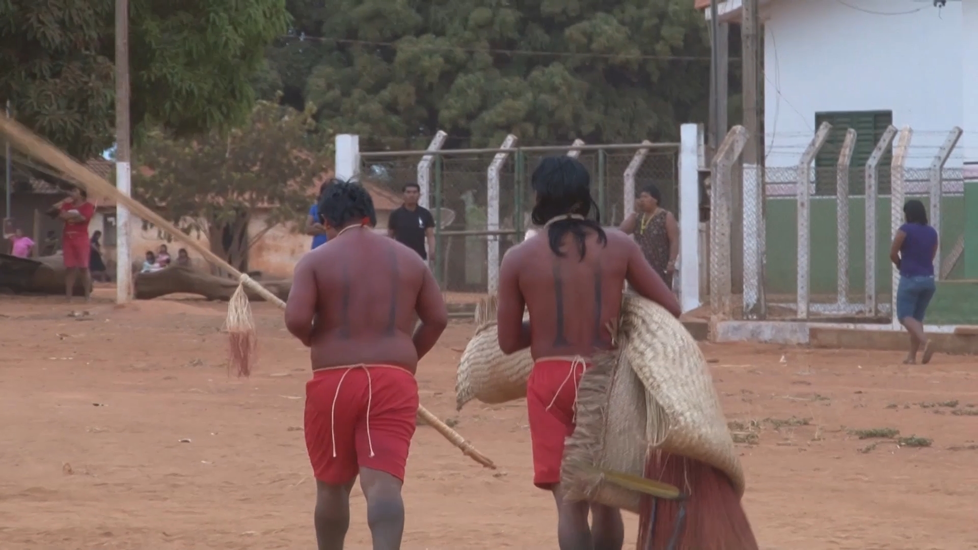 Imagem 5