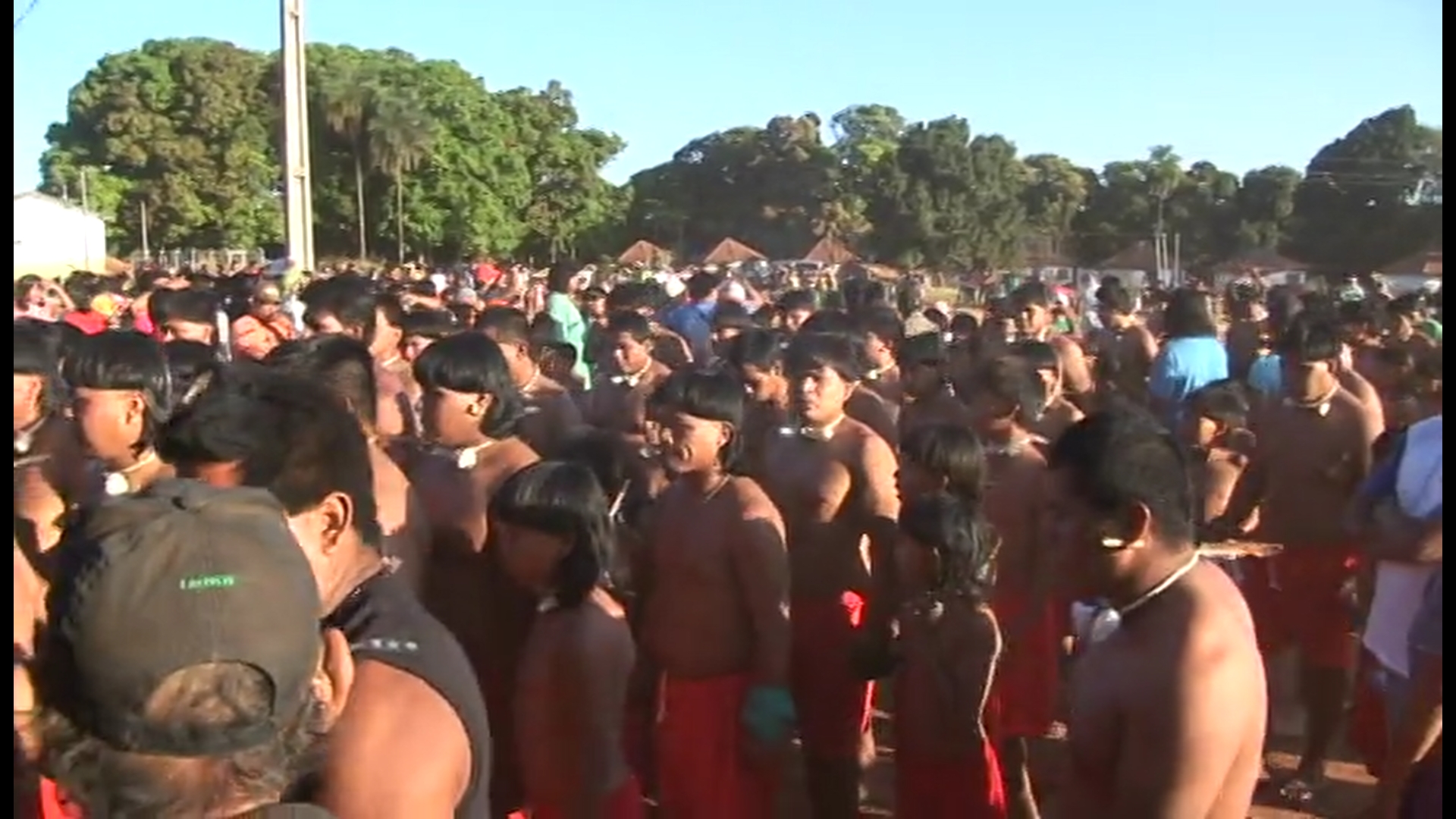Imagem 7