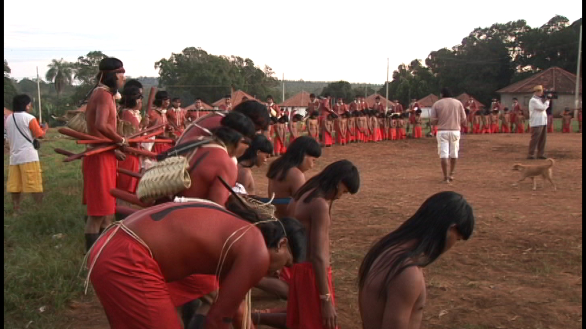 Imagem 5