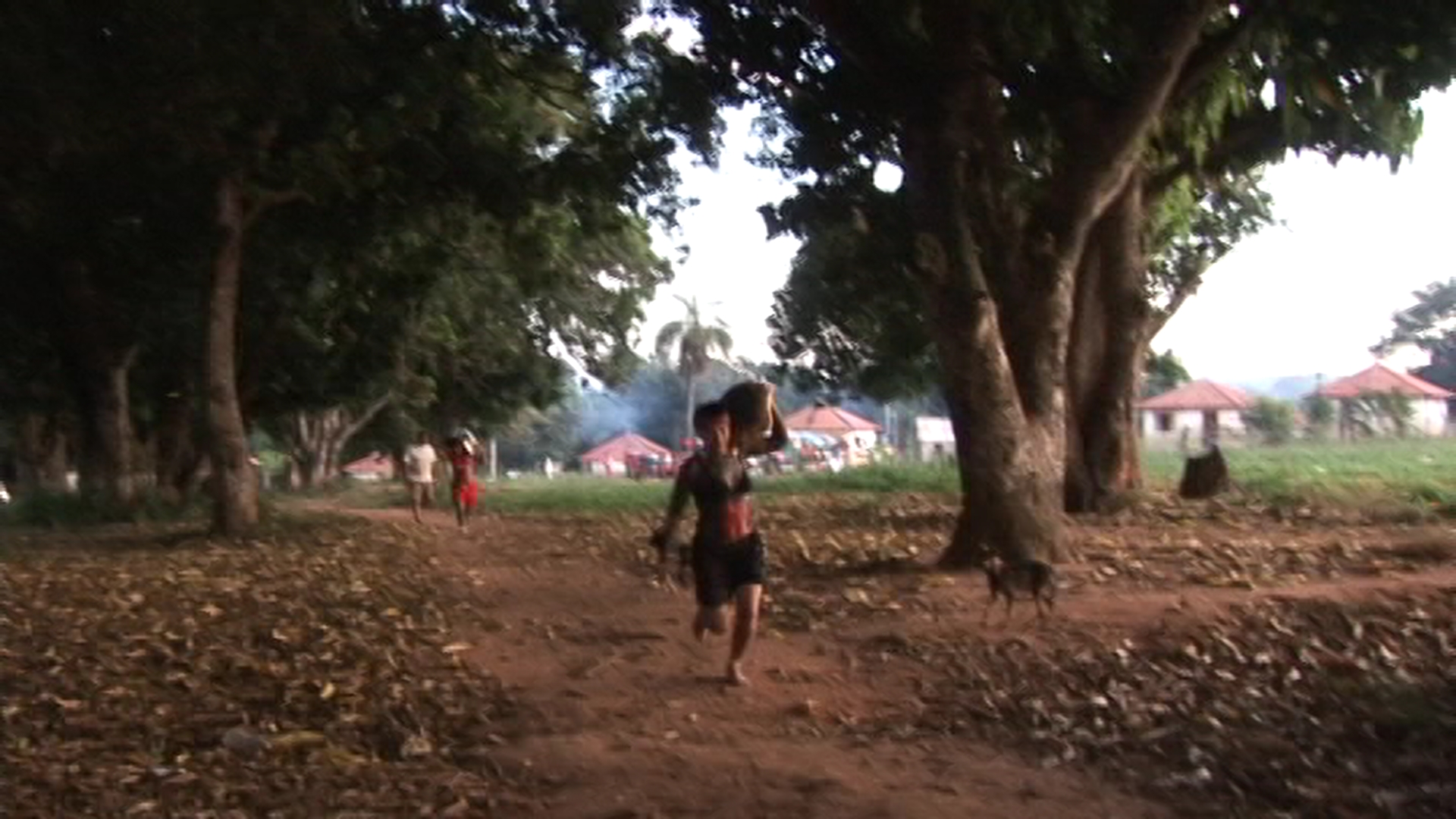 Imagem 7