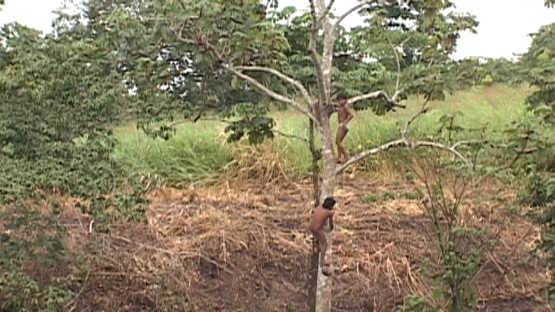 Imagem 2