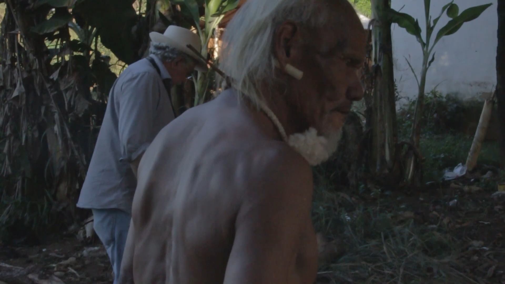 Imagem 6